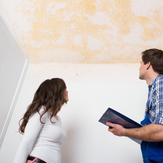 Minor to Moderate Mould